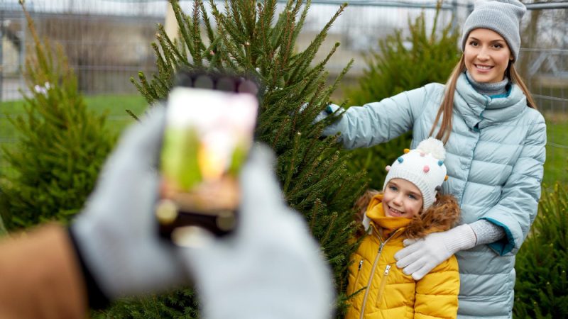 Ghid complet pentru întreținerea grădinilor pe timp de iarnă