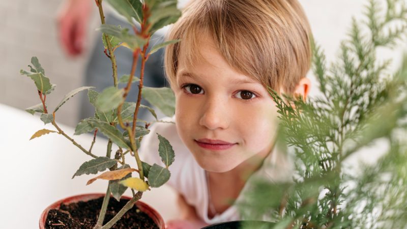 7 idei pentru a integra mai multe plante în designul băii tale