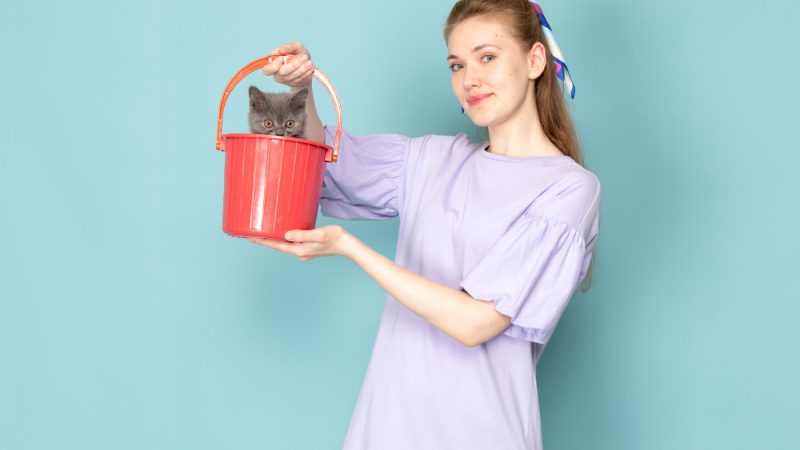 7 trucuri pentru a-ți menține casa curată cu animale de companie