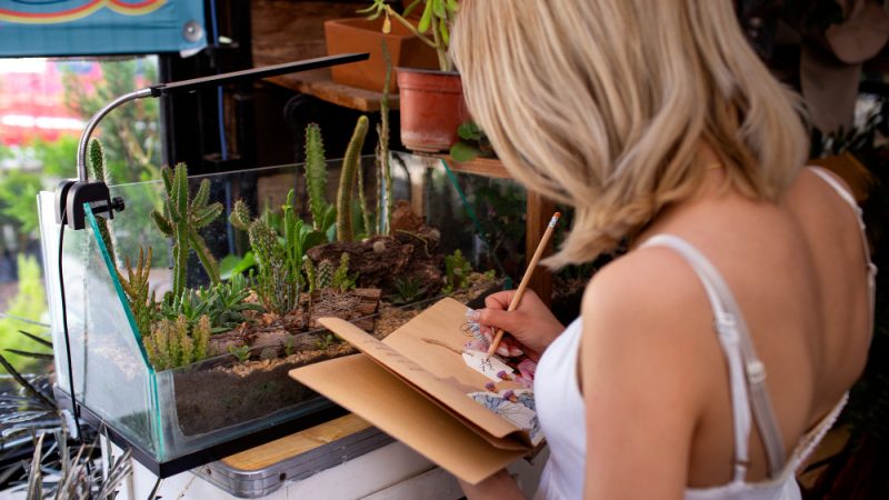 Ghid pentru crearea unei culturi organizaționale solide