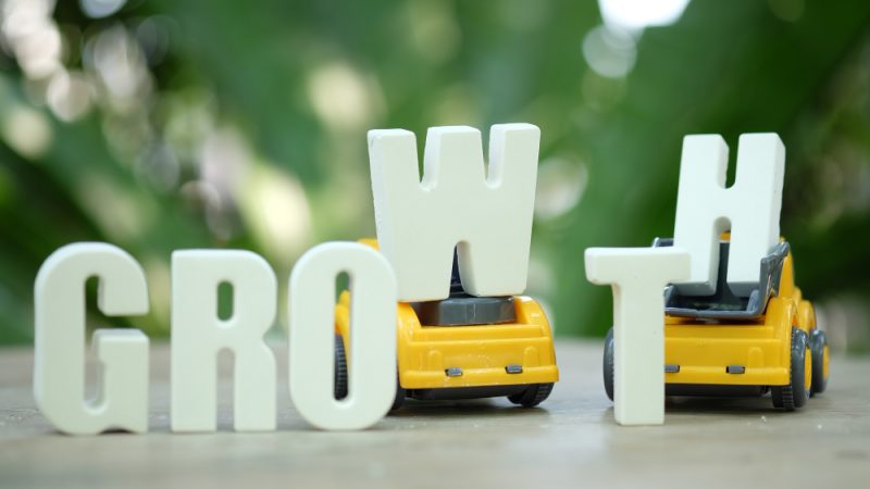 Cum să-ți construiești o strategie de creștere pe 12 luni
